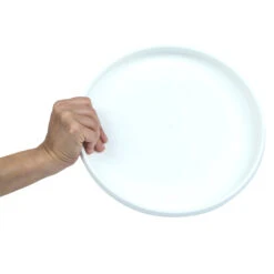 Plastic Ultimate Disc - Surf Illustration 12 Plastic Ultimate Disc - Surf Illustration -Outdoor Equipment Store k6abadd68bd21e02f4eeb8232e0eaab0c