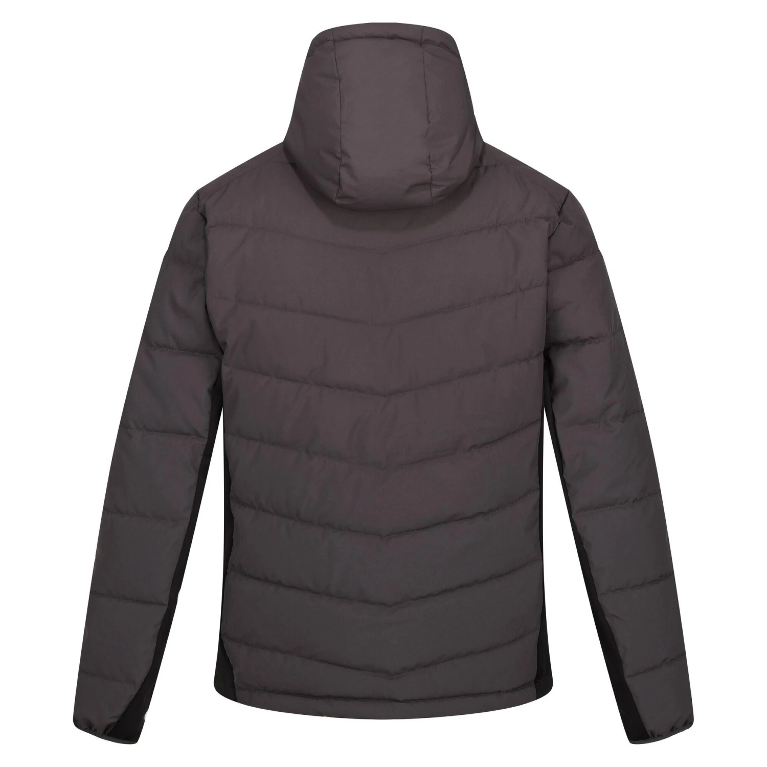 Regatta Men's Cranmore Puffer Jacket 6 Regatta Men's Cranmore Puffer Jacket - Image 4