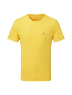 Ronhill Men's Core Running Short Sleeve Tee Shirt -Outdoor Equipment Store k84ac09ccf0ab4393654f93933166cebf