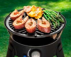 Cadac BBQ Grid 30 -Outdoor Equipment Store k99ed97a2ecfce9685eca27d9856eb126