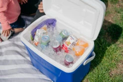 IGLOO Laguna 28QT Cool Box Red -Outdoor Equipment Store kb309529a331bee3c9613a50999a7df51