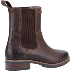 Cotswold Womens/Ladies Somerford Leather Chelsea Boots (Black) -Outdoor Equipment Store kcc21cb8937402f5bae2cf1ee19cc808d